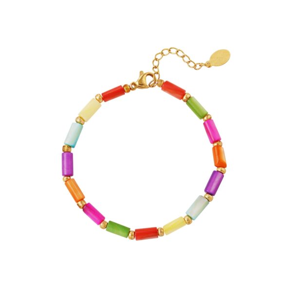 armband multi color shell beads
