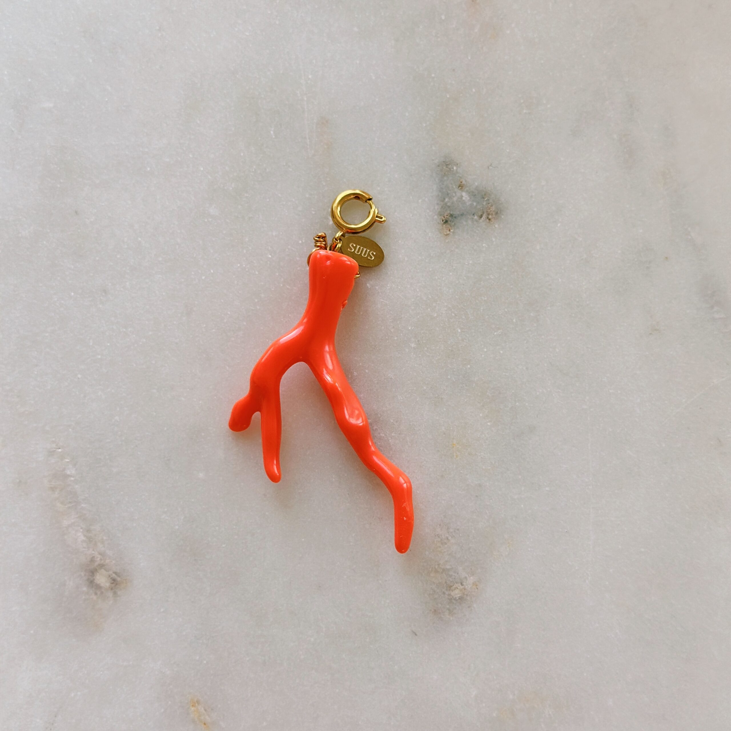 bedel coral 1 bedel coral