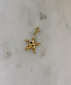 bedel little disco dive