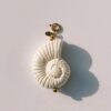 Bedel Ocean Shell