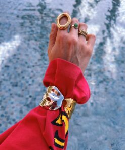 Alternative view of Bangle Bandit