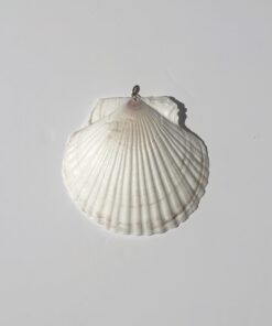 Bedel Seashell Dreams