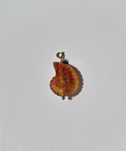 Bedel brown shell