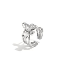 Alternative view of Ring butterfly