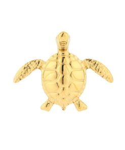 Broche Golden Turtle